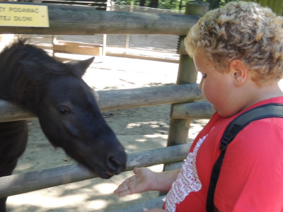 Wycieczka do ZOO_21.JPG