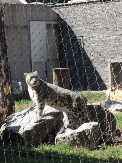 Wycieczka do ZOO_30.JPG