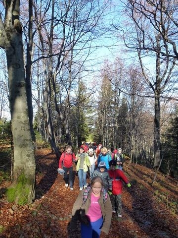 Szyndzielnia_Klimczok 018 [640x480].JPG