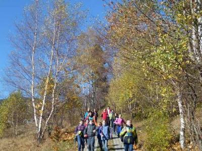 Szyndzielnia_Klimczok 062 [640x480].JPG