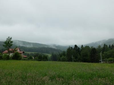 Siwcowka_16 (Kopiowanie).JPG