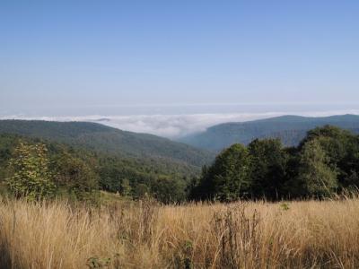 Leskowiec 2014_29.JPG