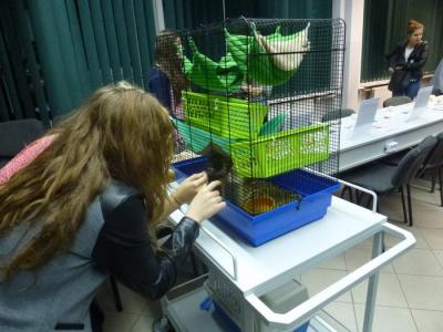 Noc naukowców 09 (Kopiowanie).JPG