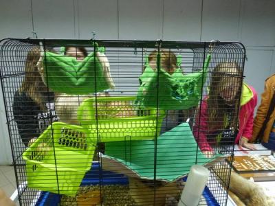 Noc naukowców 12 (Kopiowanie).JPG