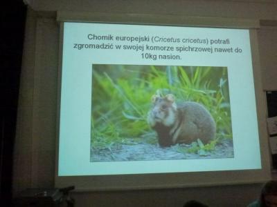 Noc naukowców 14 (Kopiowanie).JPG