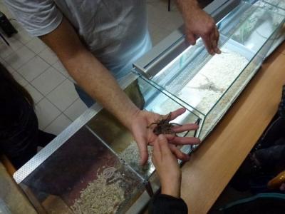 Noc naukowców 16 (Kopiowanie).JPG