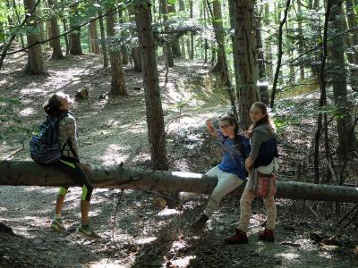 Leskowiec 2016_13.JPG