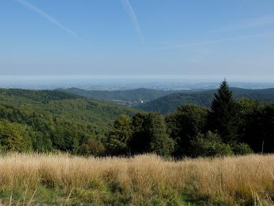 Leskowiec 2016_18.JPG