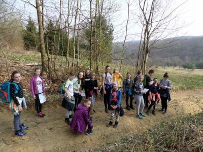 zielona szk 2017_34.JPG