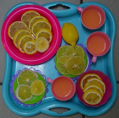 Slubowanie klI 2017_42 .JPG