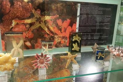 Noc nauk 2017_06 .jpg