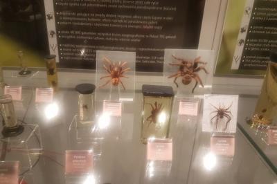 Noc nauk 2017_08 .jpg