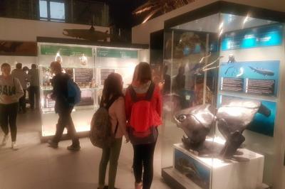 Noc nauk 2017_09 .jpg