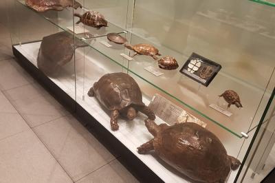 Noc nauk 2017_12 .jpg