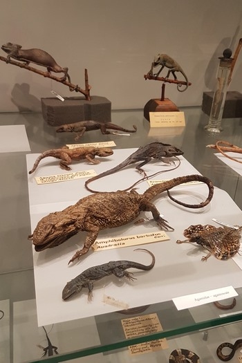 Noc nauk 2017_14 .jpg