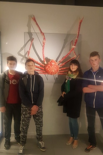 Noc nauk 2017_16 .jpg