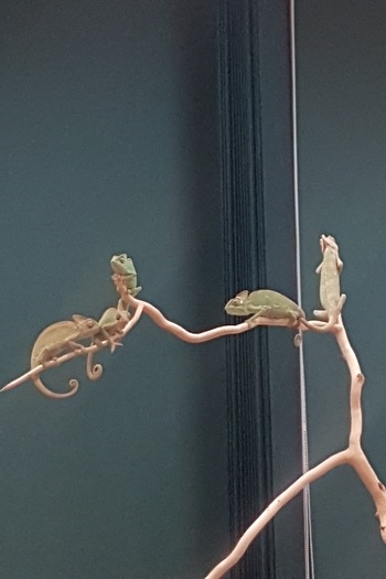 Noc nauk 2017_18 .jpg